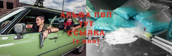 метадон Алексин