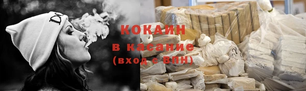 стаф Алзамай
