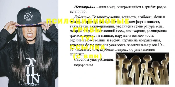 стаф Алзамай