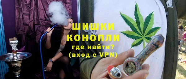 стаф Алзамай