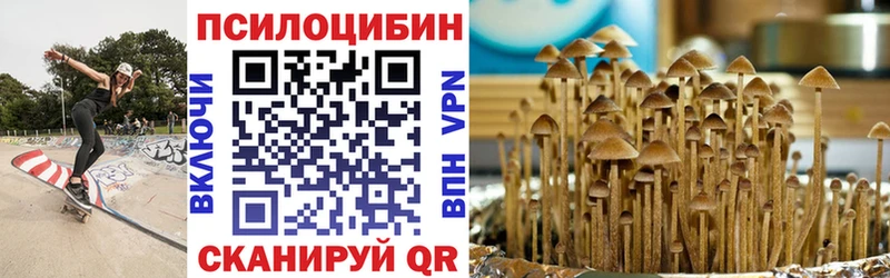 Галлюциногенные грибы MAGIC MUSHROOMS  закладка  Чаплыгин 