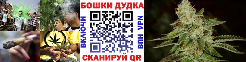 Каннабис OG Kush  Чаплыгин 